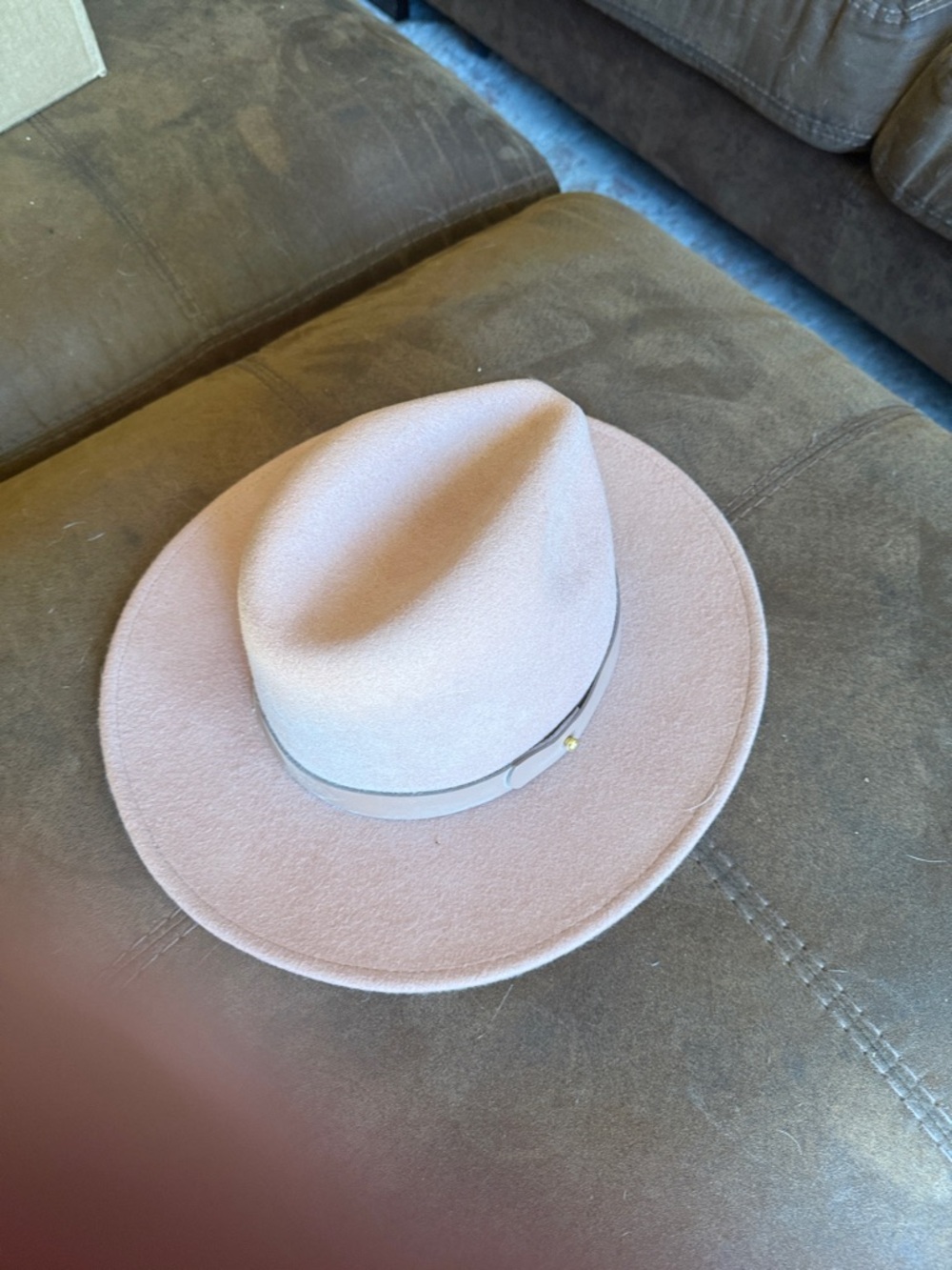 Lack Of Color Blush Pink Wide-Brim Felt Fedora